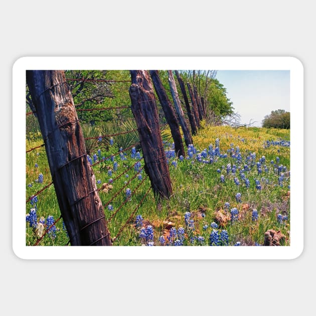 Flowers and Fence Posts Sticker by briankphoto